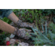 Mechanix Wear Ethel Garden Leopard Gloves - Womens, Tan, Small, ETH-LP75-510