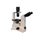 Meiji Techno Binocular Inverted Brightfield/Phase Contrast Biological Microscope, TC-5300
