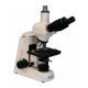 Meiji Techno Halogen Trinocular Brightfield Biological Microscope MT4300H
