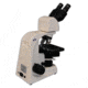 Meiji Techno LED Ergonomic Binocular Brightfield,Phase Contrast Biological Microscope,MT4210EL, BEIGE, LARGE MT4210EL