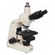 Meiji Techno LED Trinocular Brightfield,Phase Contast Biological Microscope,MT4310L MT4310L
