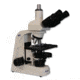 Meiji Techno LED Trinocular Brightfield,Phase Contrast Biological Microscope,MT5310L, BEIGE, LARGE MT5310L