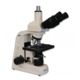 Meiji Techno Live Blood Cell Halogen Trinocular Brightfield,Phase Contrast Biological Microscope MT5300H/LBC