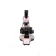 Meiji Techno MT-10 LED Monocular Entry Level Compound Microscope, White MT-10