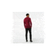 Smartwool Merino 250 Baselayer Crew-Men's, Tibetan Red H, Small, SW0NP600A14-S