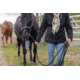 Mobile Warming Sierra Jacket - Womens, Black, 2XL, MWJ19W08-01-06