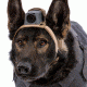 MOHOC K9 Mount, Black, One size fits all MH-K9BK
