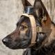 MOHOC K9 Mount, Black, One size fits all, MH-K9BK