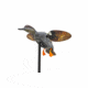 Mojo Gadwall Decoy, Elite Series, HW2473