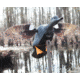 Mojo ES Gadwall, Decoy, HW24733P
