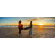 Moment M-Series, 1.55x Anamorphic Lens, Gold Flare, Black, 130-006