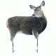 miss muley decoy