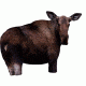 moose ii decoy, brown