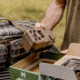 Moultrie Edge 2