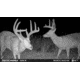 Moultrie Edge 2