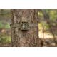 Moultrie Feeders Micro-42i Camera Kit, Mossy Oak Camo, MCG-14060