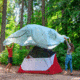 MSR Habiscape 4 Tent, Glacial Blue, 4, 11595