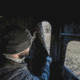 Muddy Soft-sided 360 Deg Hunting Blind, MUD-BBB0750