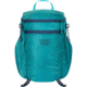 Mystery Ranch In And Out Daypack, Aqua, 18L, 113242-448-00-OS