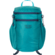 Mystery Ranch In And Out Daypack, Aqua, 18L, 113242-448-00-OS