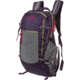 Mystery Ranch In and Out Daypack, Eggplant, 110311-500-00