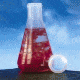 Nalge Nunc Erlenmeyer Flasks with Polypropylene Screw Cap, PMP, NALGENE 4109-0250