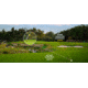Nikon Coolshot 20i GIII - Golf Rangefinder, 16781