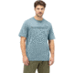 Norrona /29 Cotton Norrona Viking T-Shirt - Mens, Tourmaline, Extra Large, 7042698459428