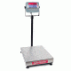 Ohaus Bench Scale 150lb X .02lb D31P60BL, Unit EA
