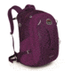 Celeste 29 Pack -Pomegranate Purple