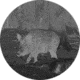 Owlset MCC10 Monocular