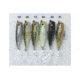 Owner Hooks Gobo Popper, Smoke, 49, GP60-49