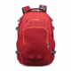 Pacsafe Venturesafe 28L G3 Backpack, Goji Berry, 60550324