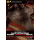 Panteao Productions Make Ready with Dave Spaulding: Ruger American Pistol Diagnostics BVPMR072
