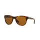 Persol PO3134S Sunglasses 938/33-51 - Green Striped Frame, Brown Lenses