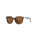 Persol PO3216S Sunglasses 24/57-51 - , Brown Polar Lenses