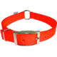 Pete Rickard Hunter's Safety Orange Collar