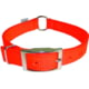 Pete Rickard Hunter's Safety Orange Collar