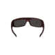 Popticals PopGear Sunglasses, Red/Black Crystal Matte Frame, Gray Lens, Polarized, 030050-REGP