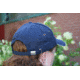 Porta-Brace CAPB Baseball Cap with Blue Top