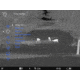 Pulsar Telos LRF XP50 Thermal Monocular, PL77492