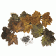 Qad Sneaky Leaf, Fall Blend SLFB