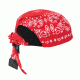 Radians Arctic Skull Head Shade Red Paisley