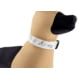 Raptor Tactical K9 Odin Collar, Alpine Multicam, K9OC-AM-45D