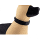 Raptor Tactical K9 Odin Collar, Black, K9OC-BL-45D