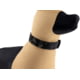 Raptor Tactical K9 Odin Collar, Black Multicam, K9OC-BM-45D