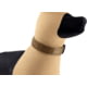 Raptor Tactical K9 Odin Collar, Coyote Brown, K9OC-CB-45D