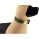 Raptor Tactical K9 Odin Collar, Rhodesian, K9OC-RH-45D