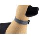 Raptor Tactical K9 Odin Collar, Tactical Grey, K9OC-TG-45D
