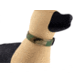 Raptor Tactical K9 ODIN Collar, Woodland, One Size, K9OC-M81-45
